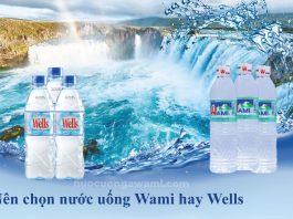 Nước uống Wami và nước uống Wells