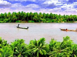 Top 5 đại lý giao nước Wami tại Bến Tre