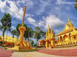Top 5 đại lý giao nước Wami tại Trà Vinh